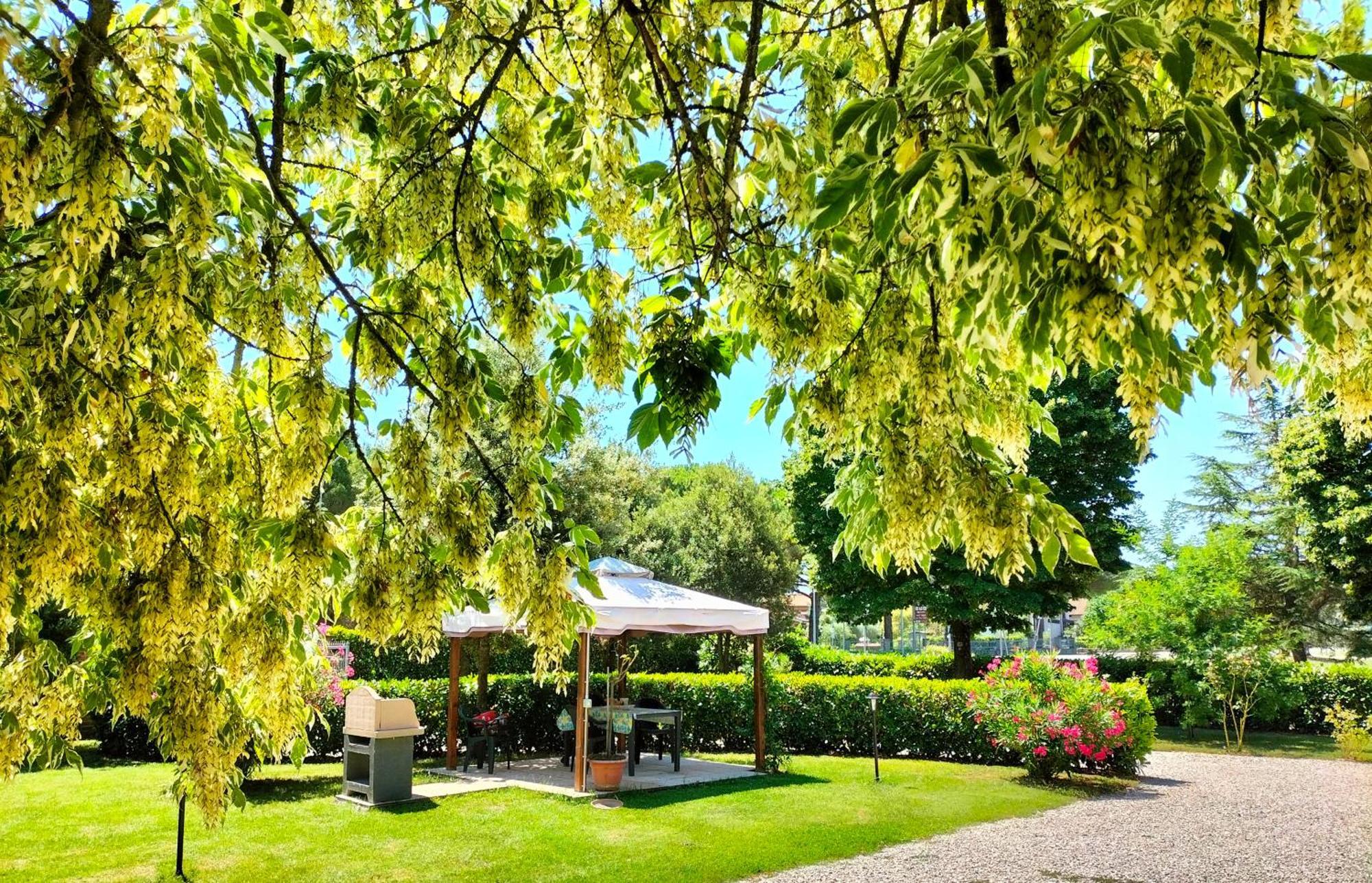 Casa Vacanze Bonardini Castiglione del Lago Bagian luar foto